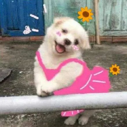 福州周边古村落景区推荐,福州附近最有特色古镇古村