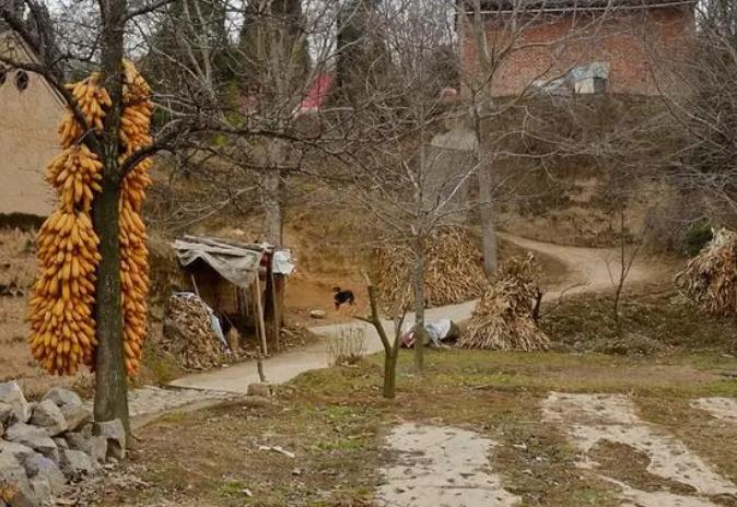 辽宁歪脸女孩，家境贫寒父母双亡，整容变美后拒百万薪只为当老师