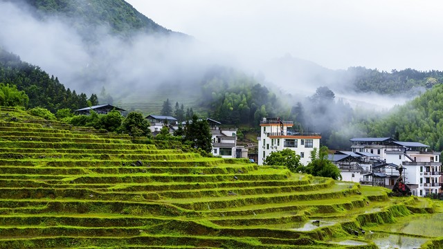 50年代毕业证,30年前的初中毕业证长什么样