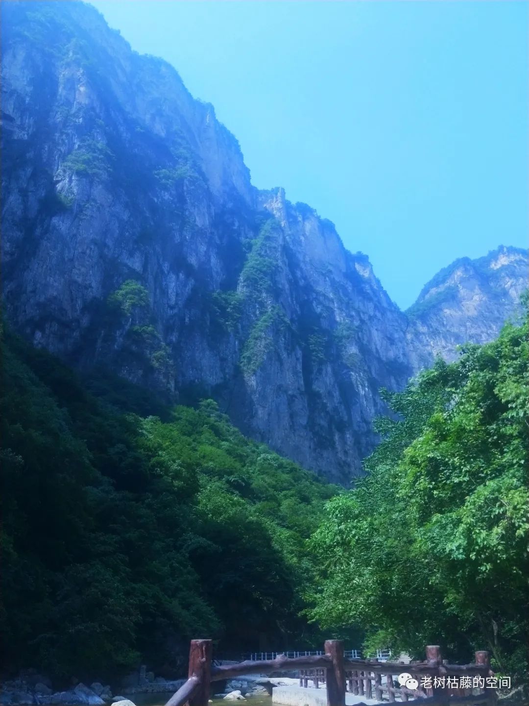 旅游的游繁体字,旅游的游踪