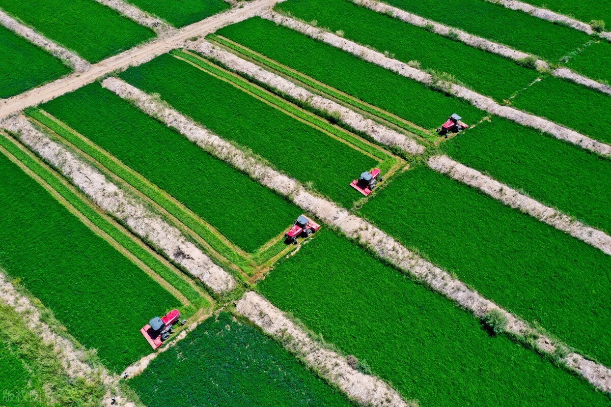 买面不要超过多少钠,买面应该怎么买