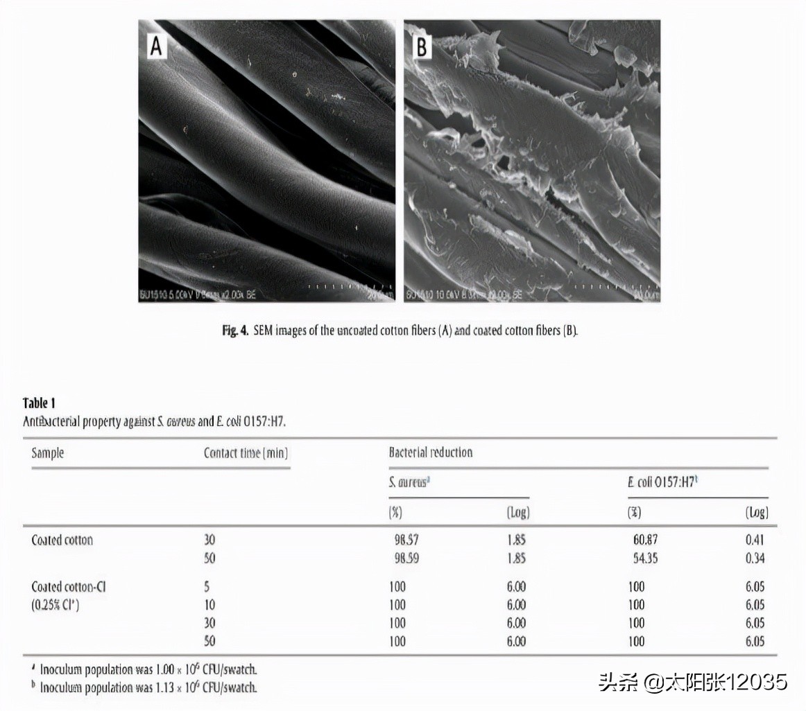 改性壳聚糖,壳聚糖改性后可应用在哪些方面