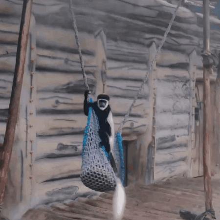 集美最值得去玩和吃的地方,厦门集美值得去的地方推荐