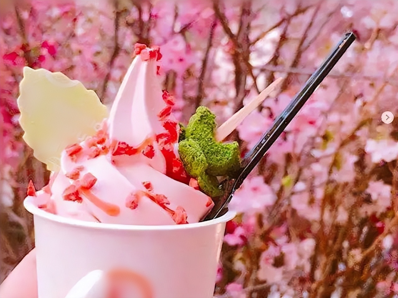 为什么越来越多的人喜欢吃冰,为什么老是喜欢吃冰淇淋