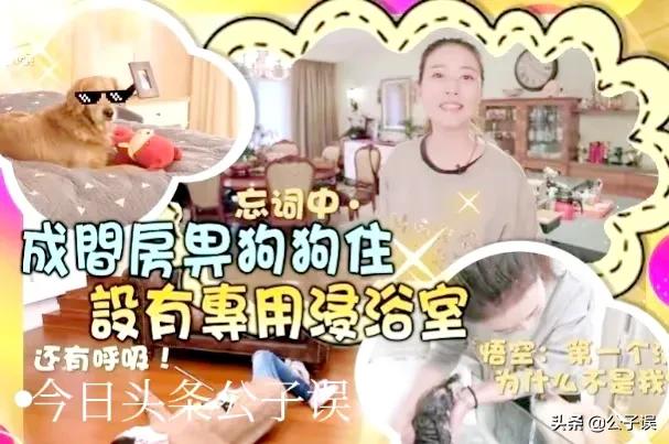 周海媚和吕良伟婚姻维持多久,周海媚谈吕良伟婚姻视频