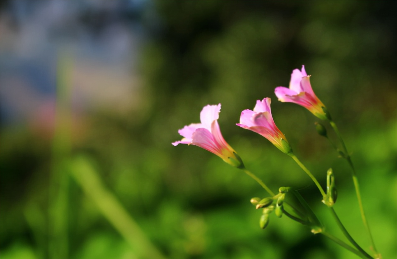 2023年努力赚钱不要浪费时间,2023年不要浪费赚钱的时间