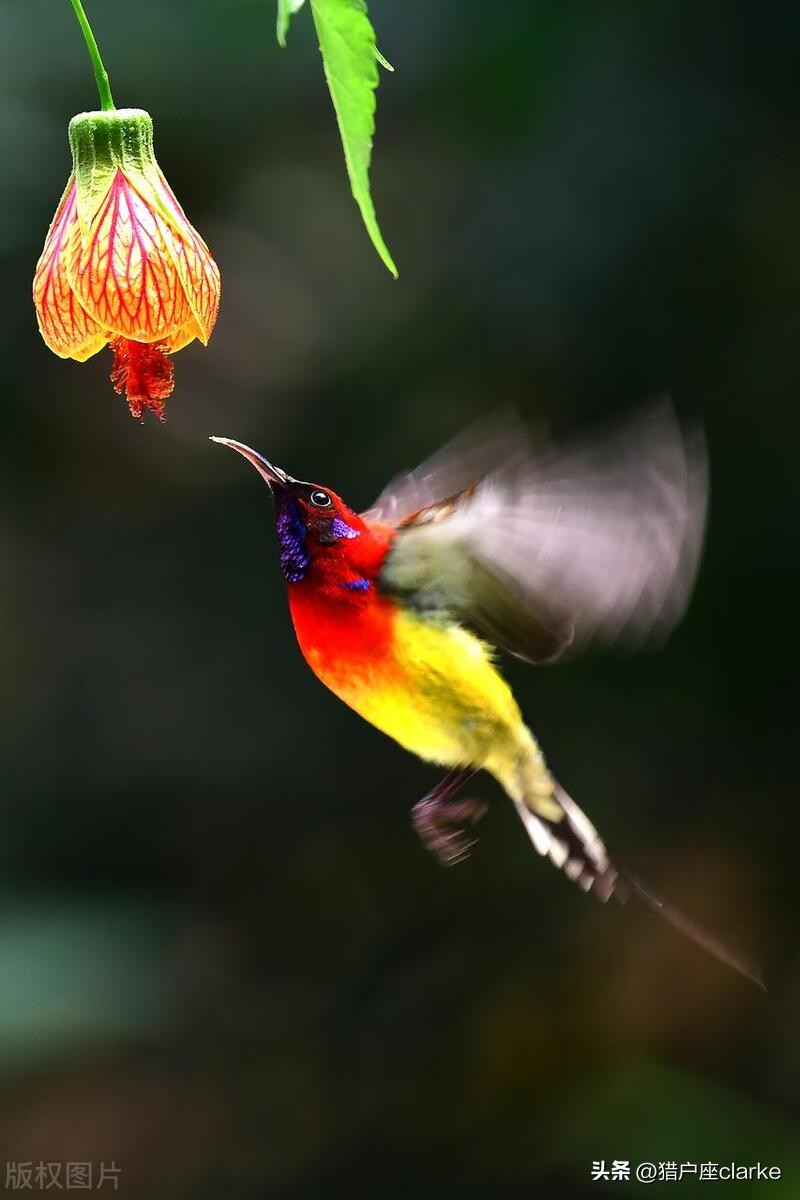 五种运动镜头的拍摄技巧,怎么拍出有力量感的动作