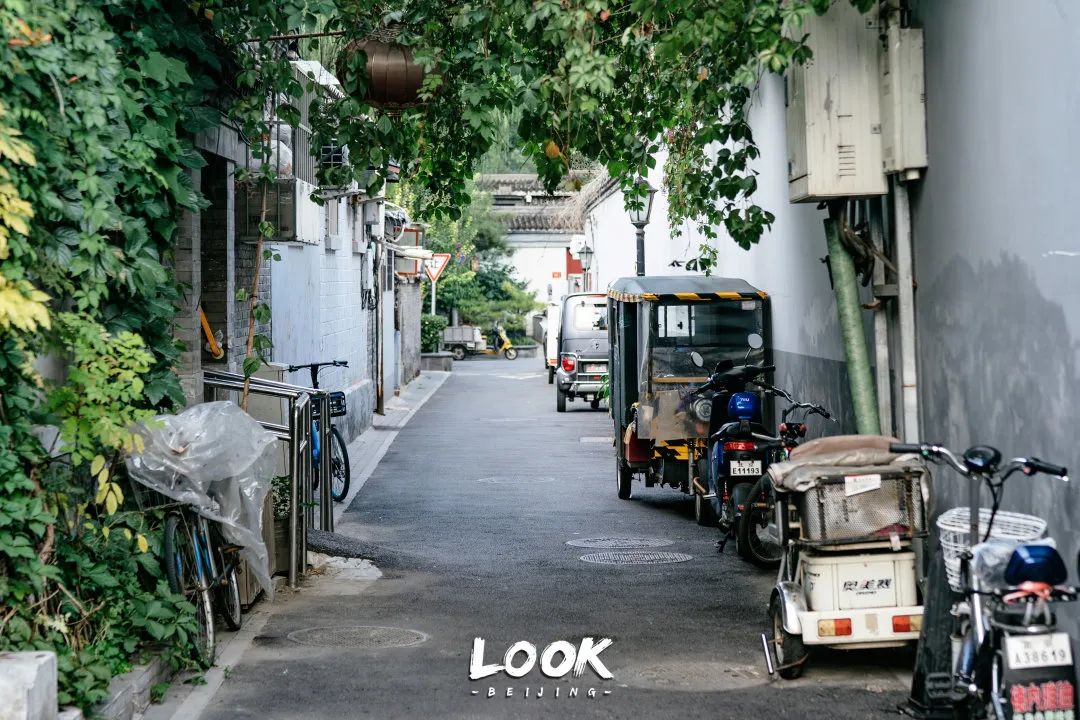 北京什刹海晚上游玩路线,北京什刹海风景秋天攻略
