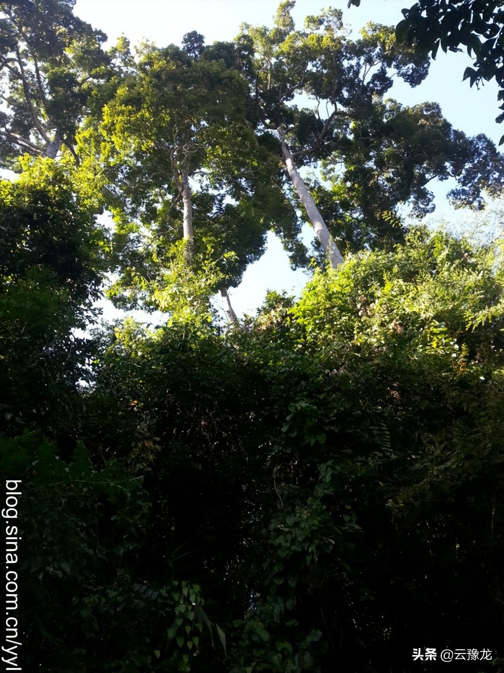 西双版纳磨憨自驾游攻略,自驾游云南版纳旅游攻略