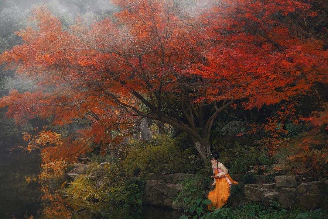 冷枫染红，霜叶流丹。不读这20首红叶诗词，辜负秋光烂漫