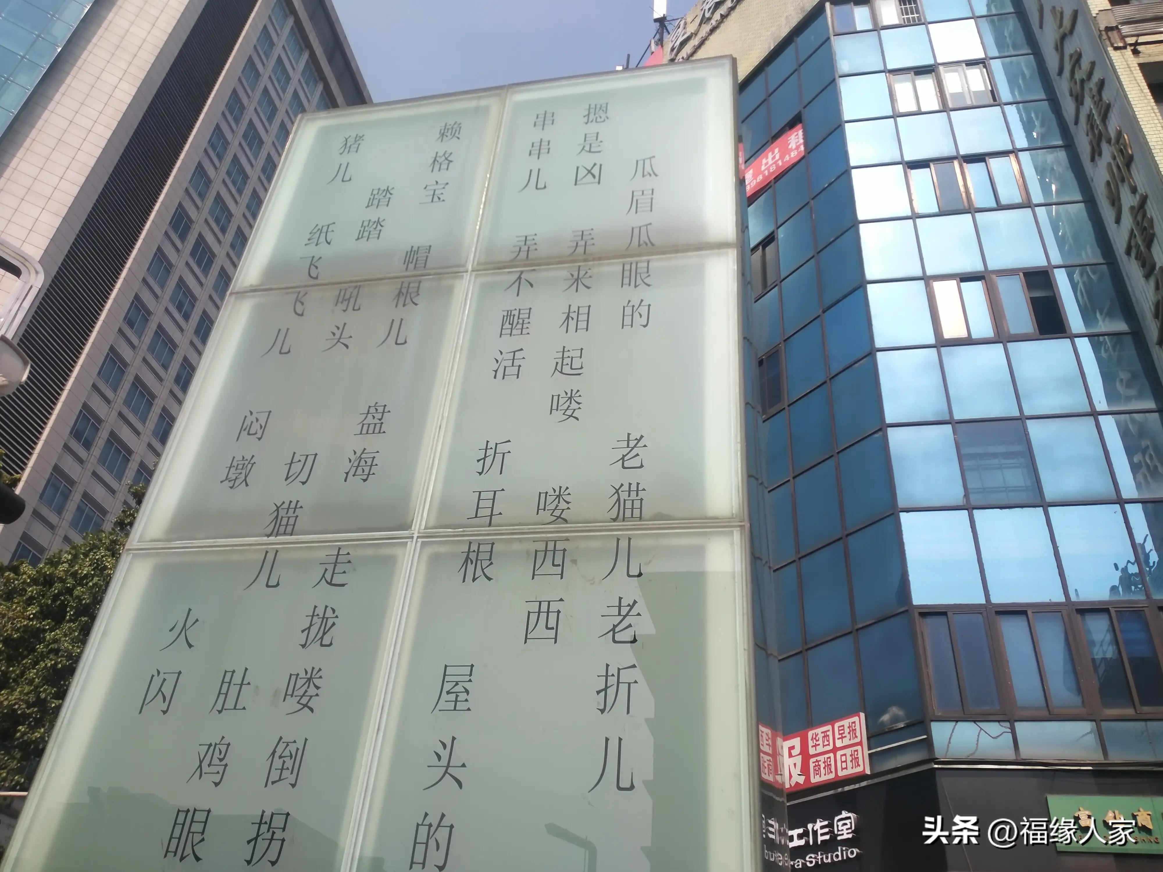 天不怕地不怕就怕蔡少芬讲普通话,什么都不怕就怕四川人说四川话