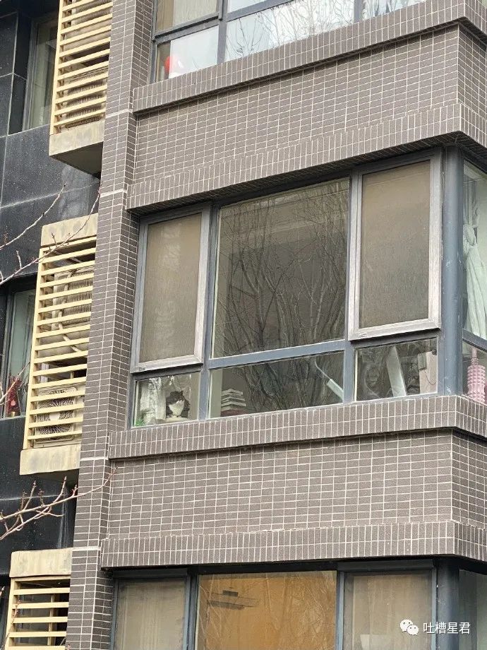 男朋友送6000的礼物,男朋友送了个7000的包分手要还吗