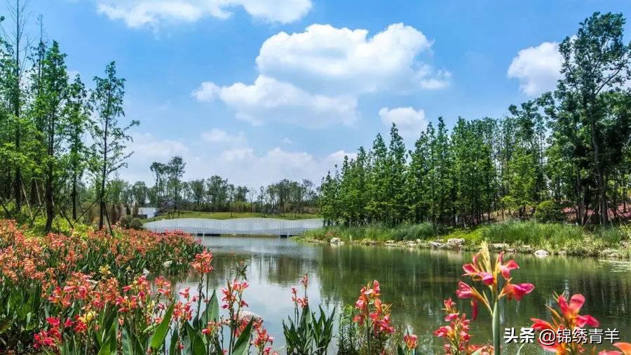 青羊区最美公园景点在哪里,5月份成都市区最美公园