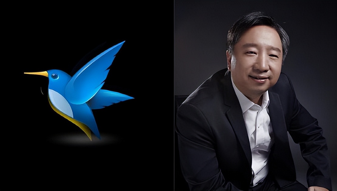 迅雷没落了怎么回事,迅雷没落史