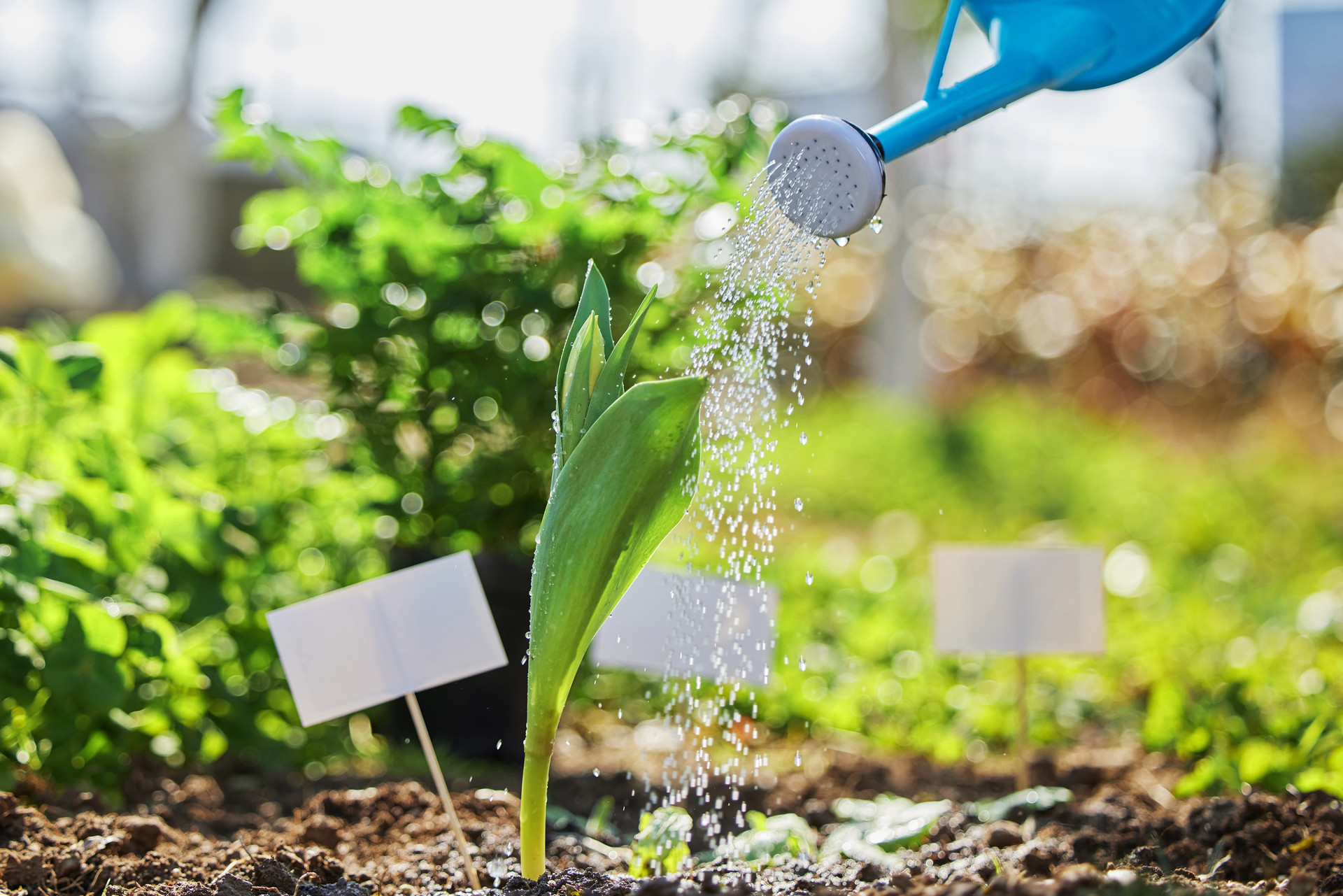 考研计算机学专业就业前景,计算机专业考研就业前景
