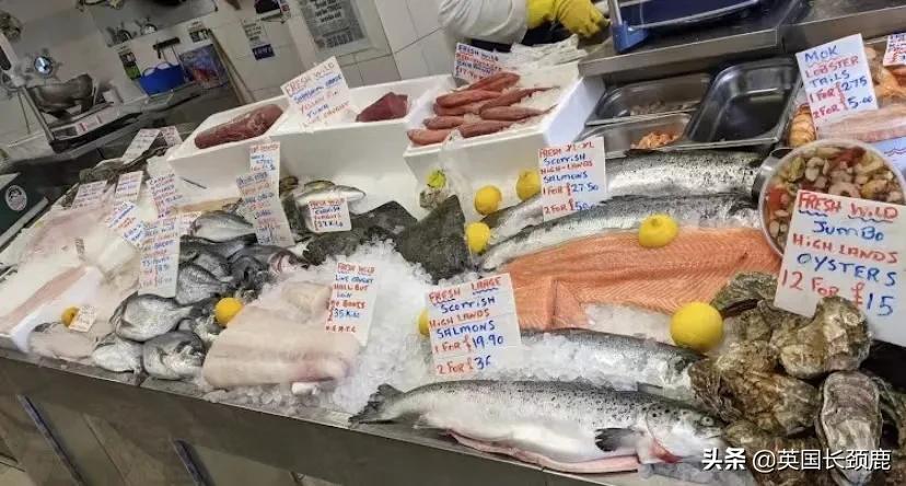 在伦敦哪里买新鲜的海鲜,伦敦海鲜市场买什么海鲜