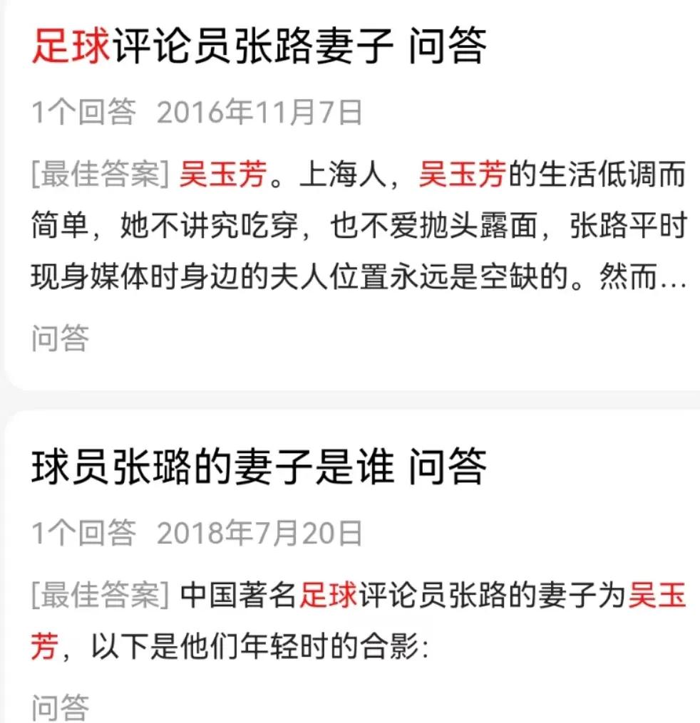 董路发文炮轰围栏足球,董路评张路足球普及