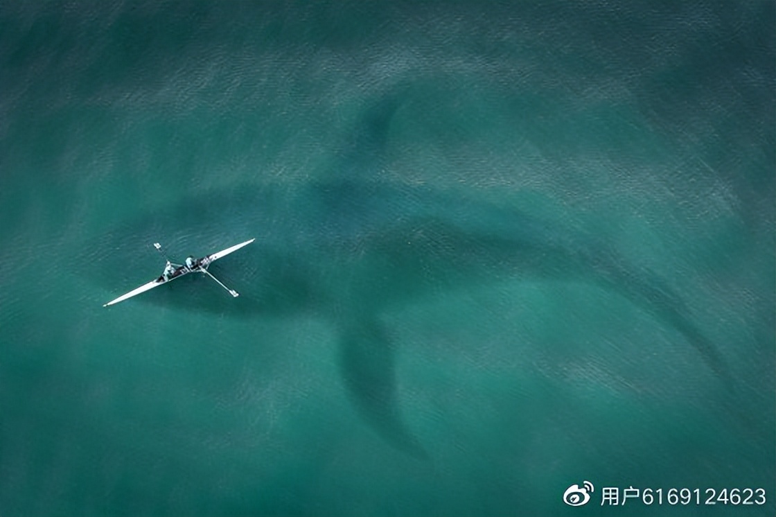 鑱氱劍閲戣瀺椋庨櫓闃茶寖鍖栬В,鑱氱劍閲戣瀺闃茶寖鍖栬В閲嶅ぇ椋庨櫓