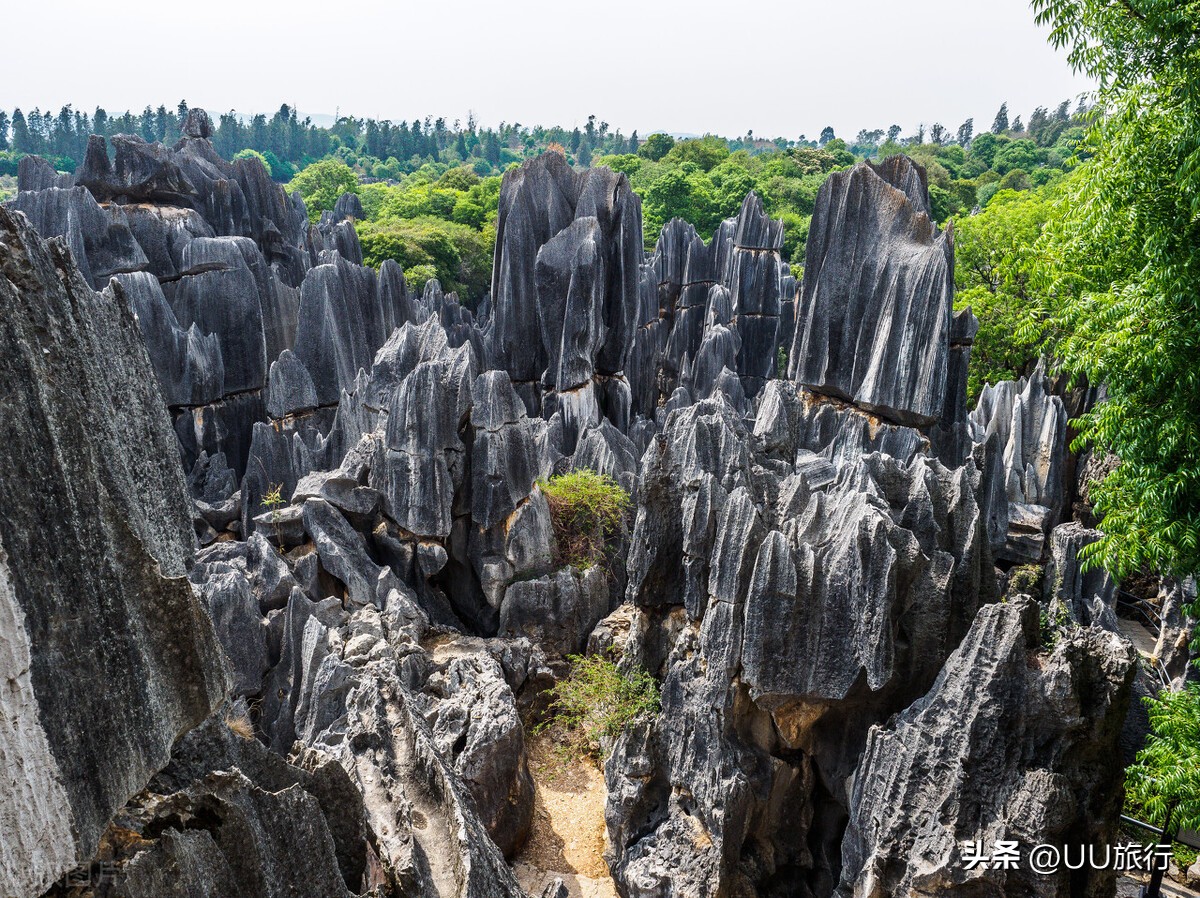 云南最值得去的八个地方,云南最值得去的七个地方