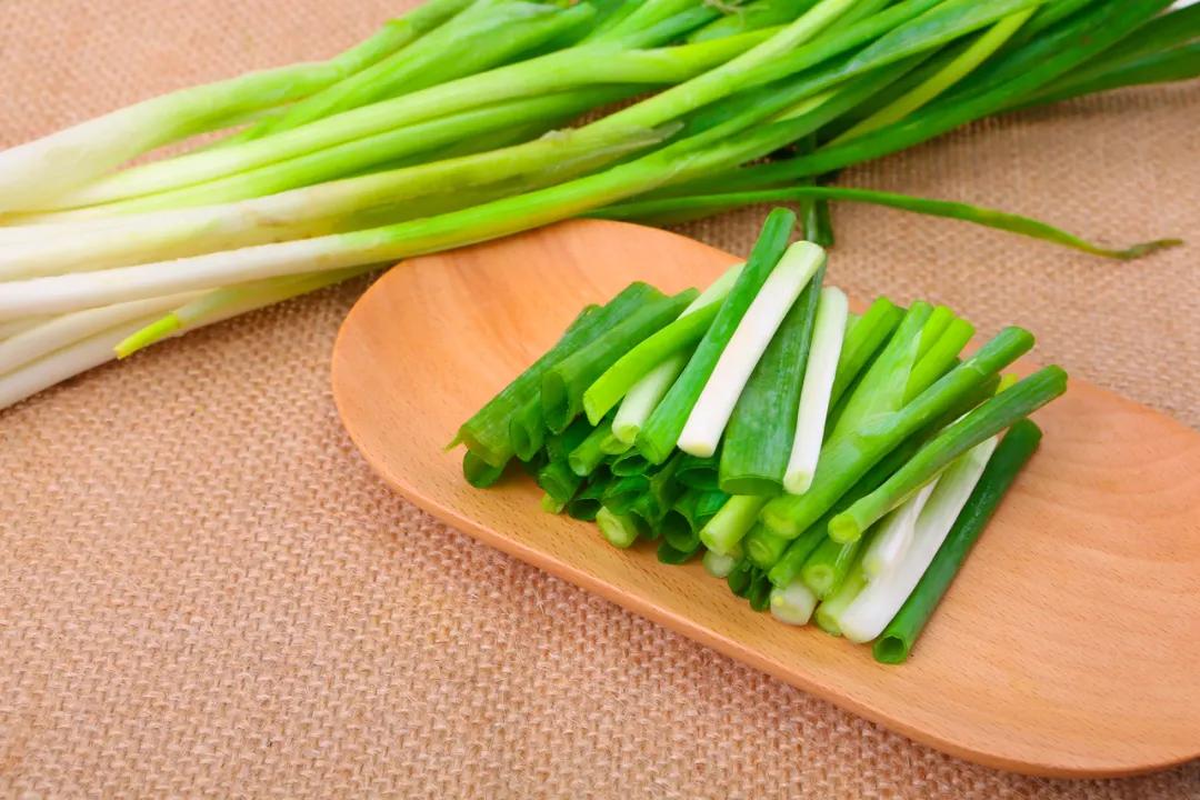 洛阳市洛阳晚报,洛阳晚报作文