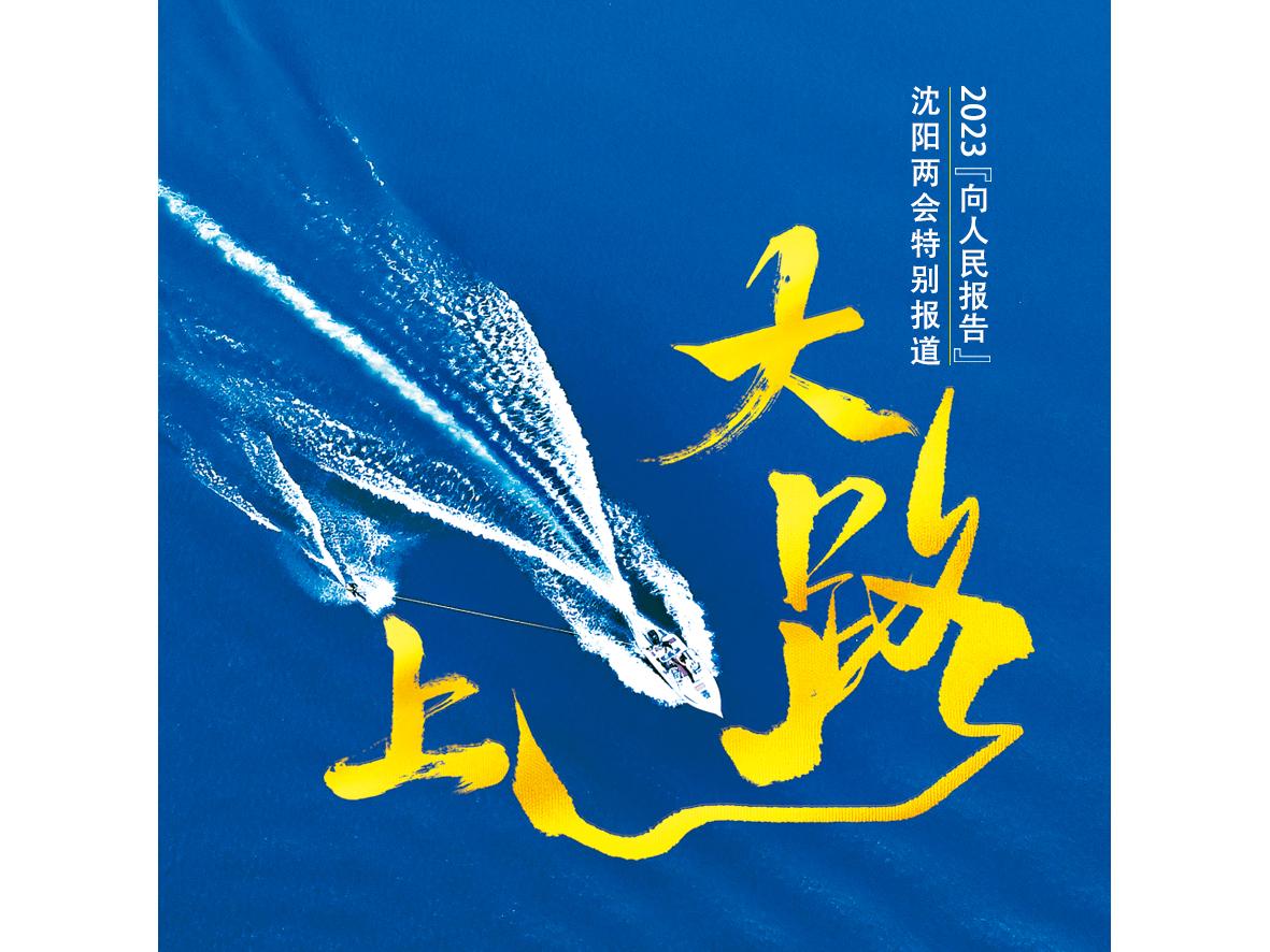 沈阳和平区未来发展,沈阳和平区发展