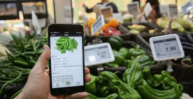 返乡创业都有哪些项目,年轻人返乡创业项目有哪些