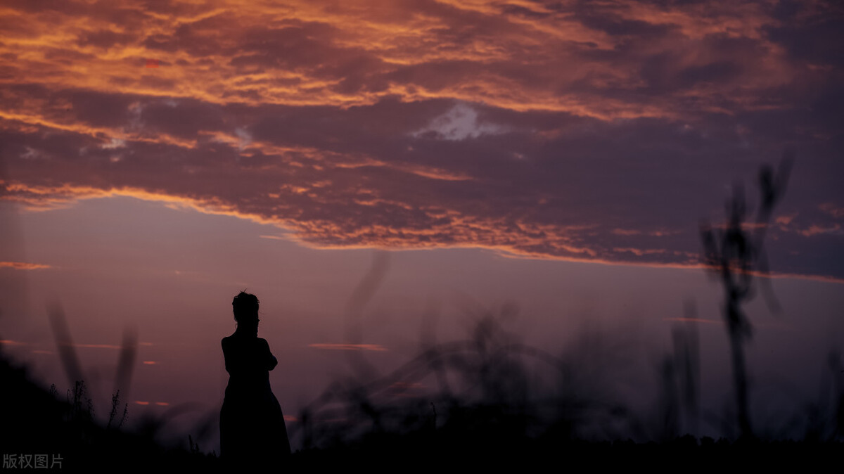 《久别重逢》平凡的女人：为女儿买1000多斤书