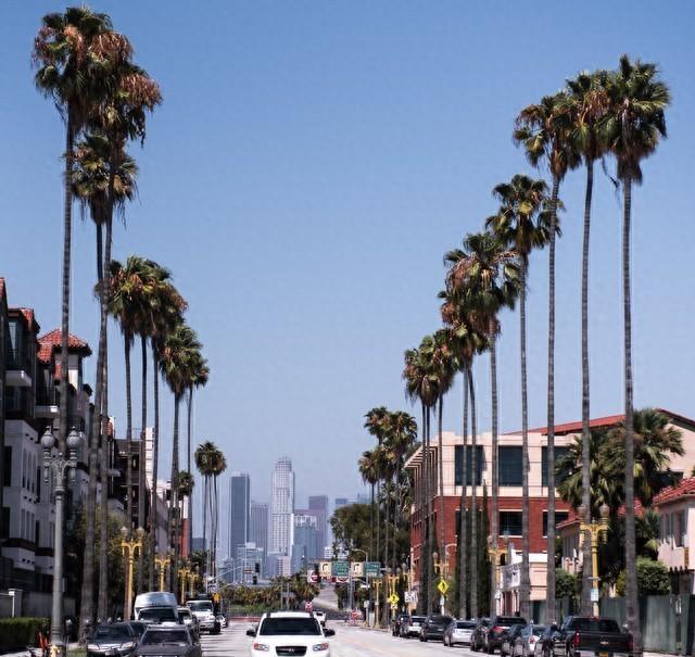 美国冷知识弗吉尼亚,美国冷知识俄亥俄州