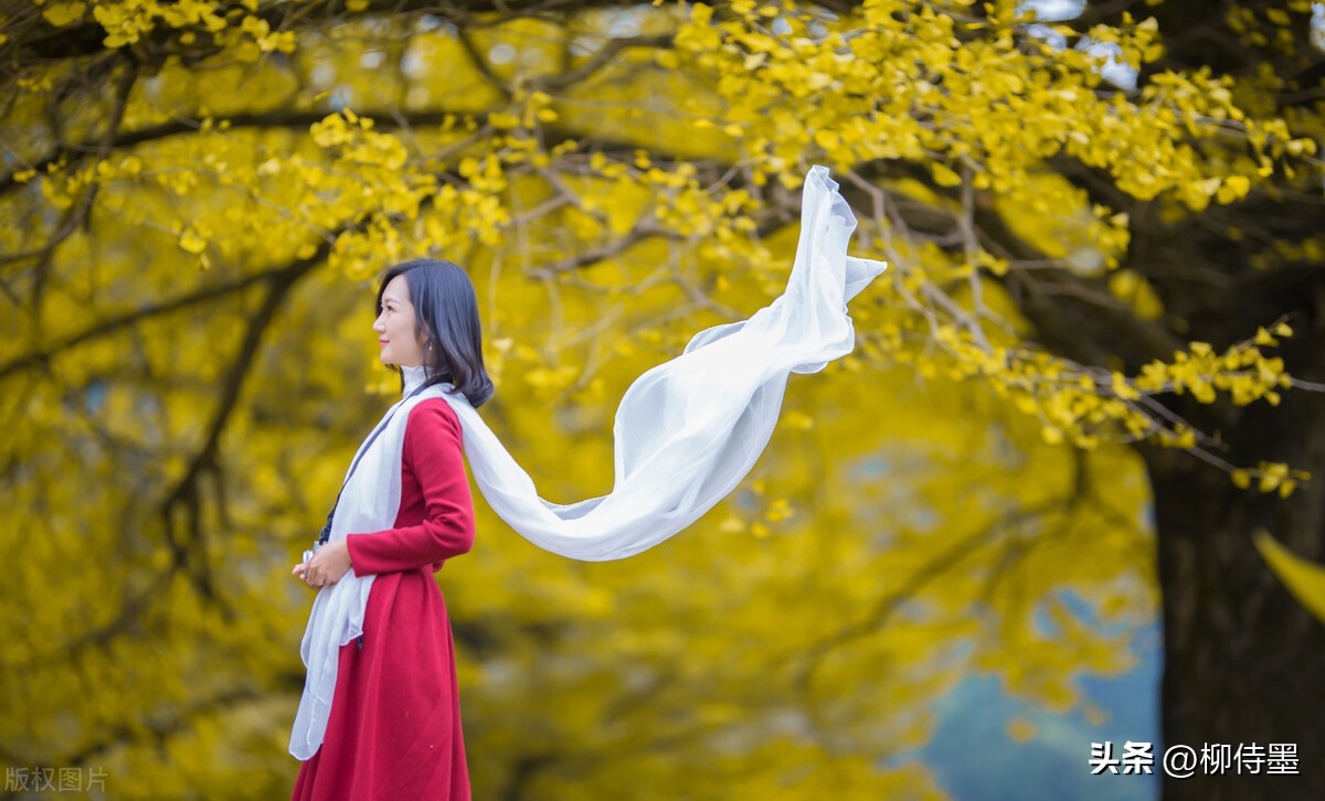 异域风情丝巾拍照姿势大全,如何搭配丝巾拍照姿势好看