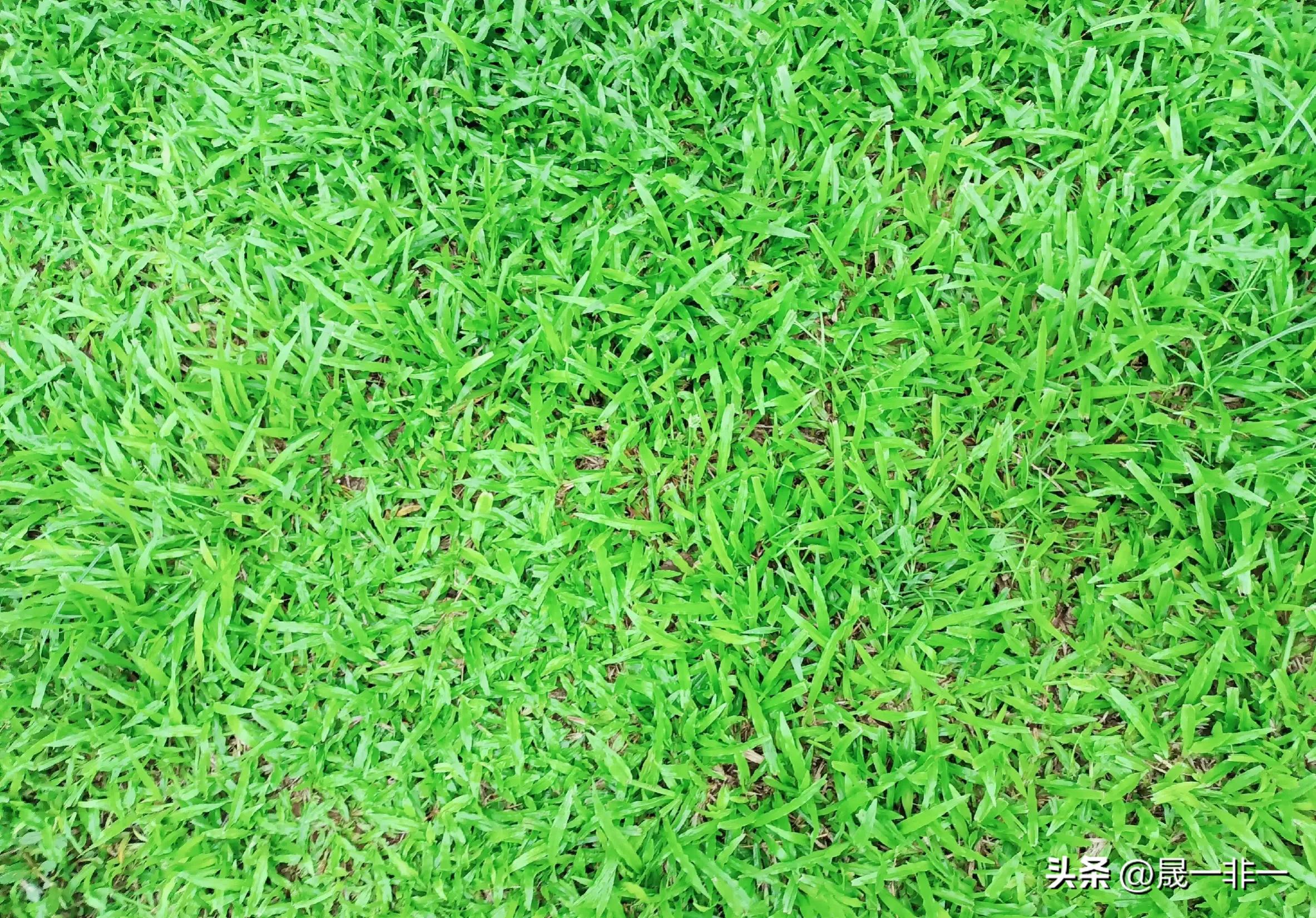 20天宝宝拉绿色的便便是什么原因,宝宝拉绿色便便什么原因该怎么办