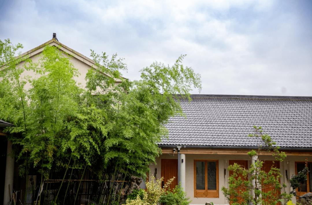 干货满满！金坛茅山民宿专场自媒体平台产品营销培训会圆满举办