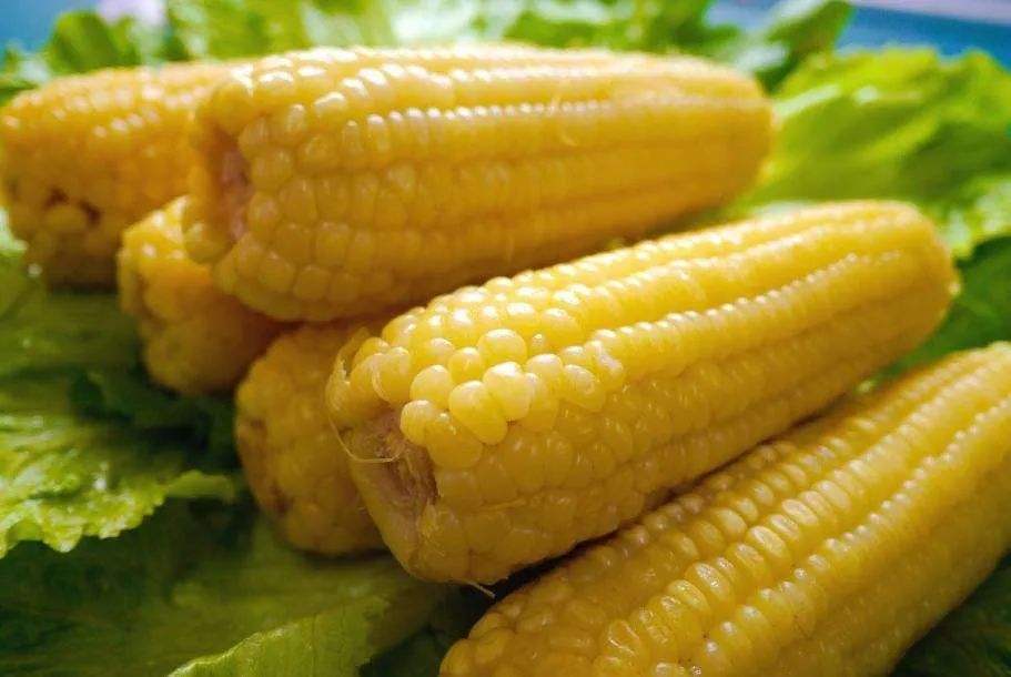 易胖食物主食排名,十大低糖主食排名玉米