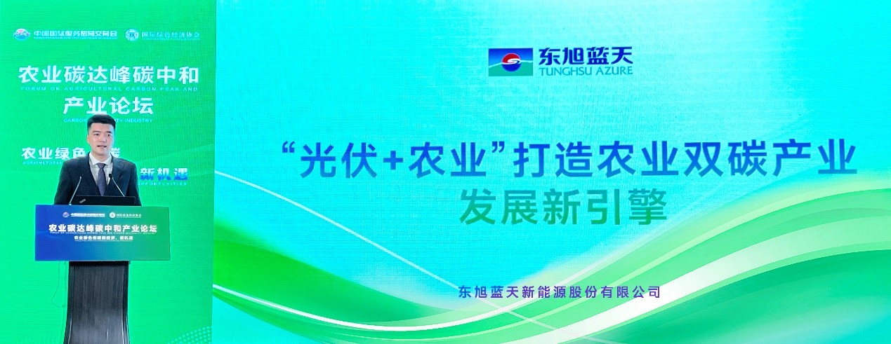 东旭蓝天光伏发电项目,东旭蓝天环保生态科技有限公司