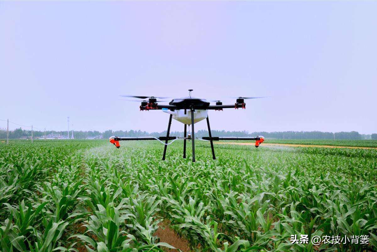 农作物除病害剂,农业害虫防治剂