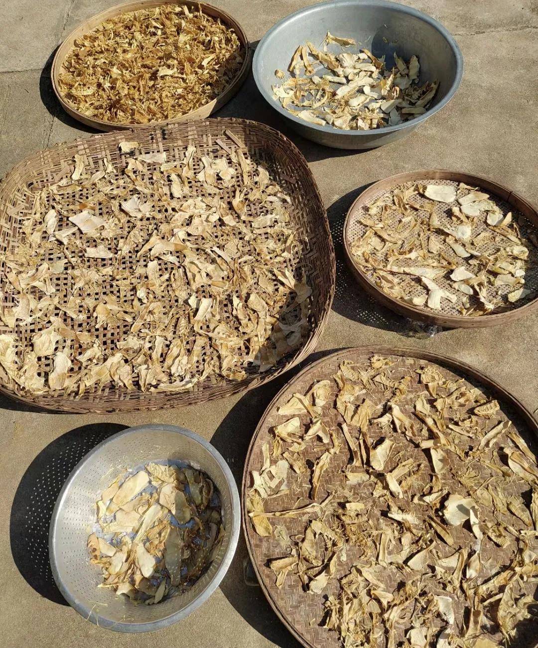 竹笋发霉怎么补救,竹笋发霉该怎么处理