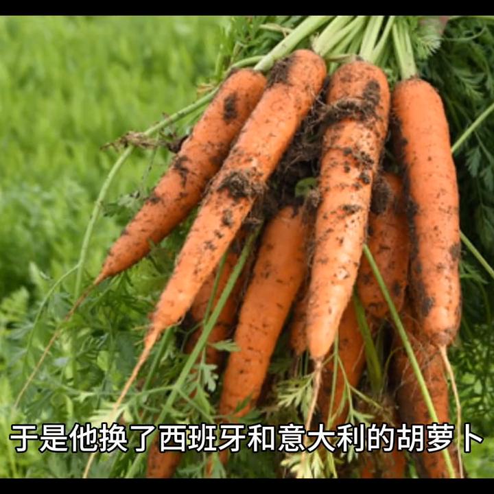 开洗浴的利润是多少钱,开洗浴店利润怎么样