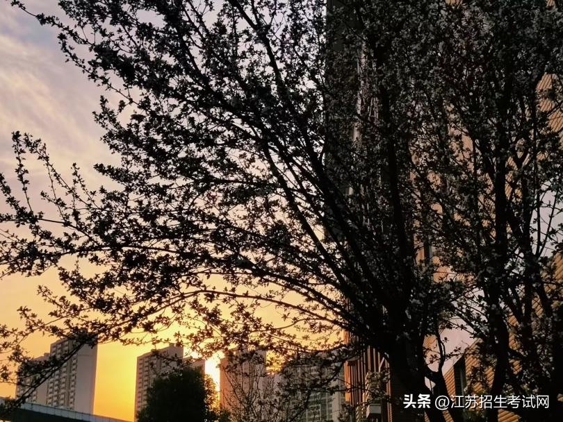 南京铁道职业技术学院怎么样招生,春招有没有南京铁道职业技术学院