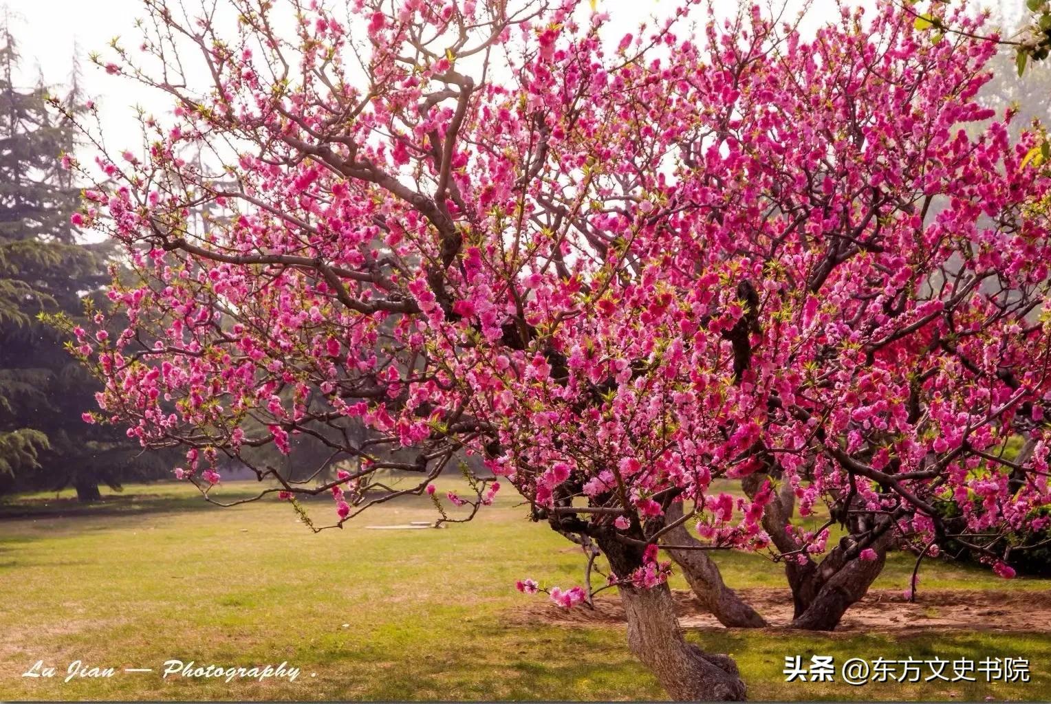 女人想要变优秀最适合看哪些书,女人想要优秀看什么书