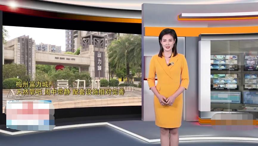 梅县富力城的楼房质量问题,梅州富力城5期精装修质量