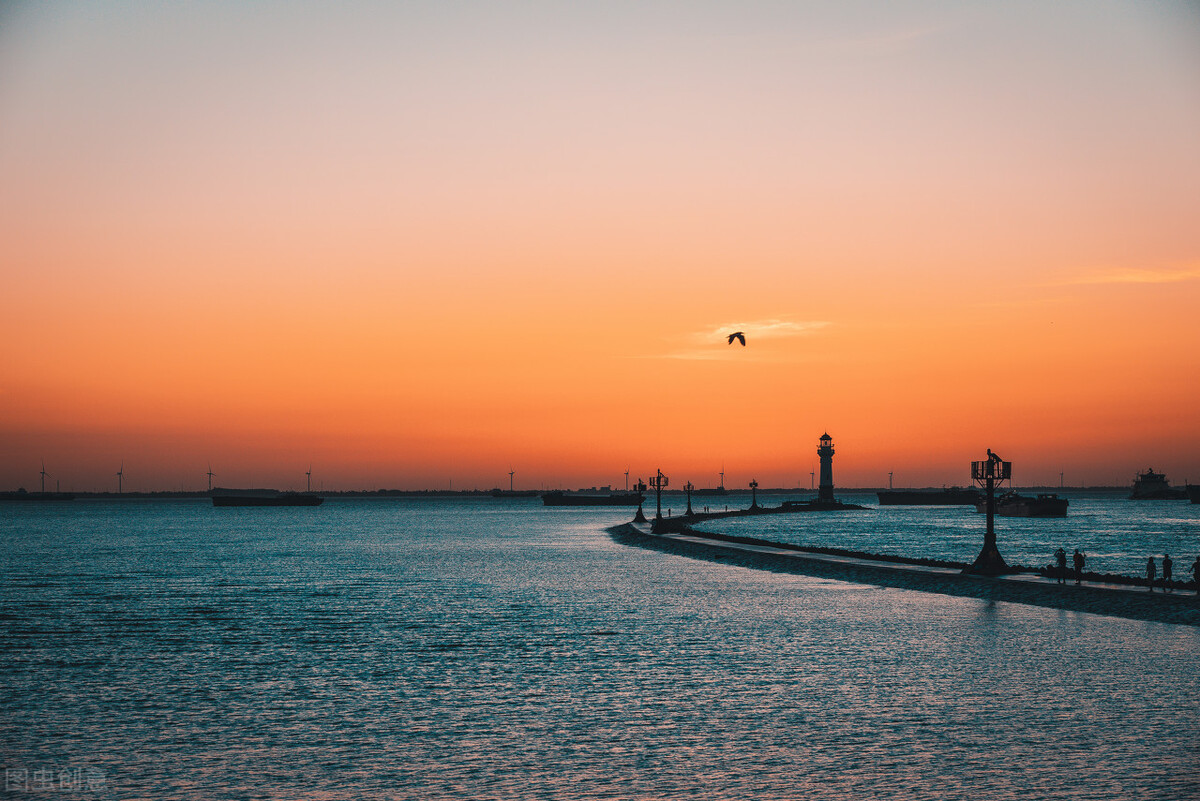 上海市区森林秘境,上海这些景区值得一去