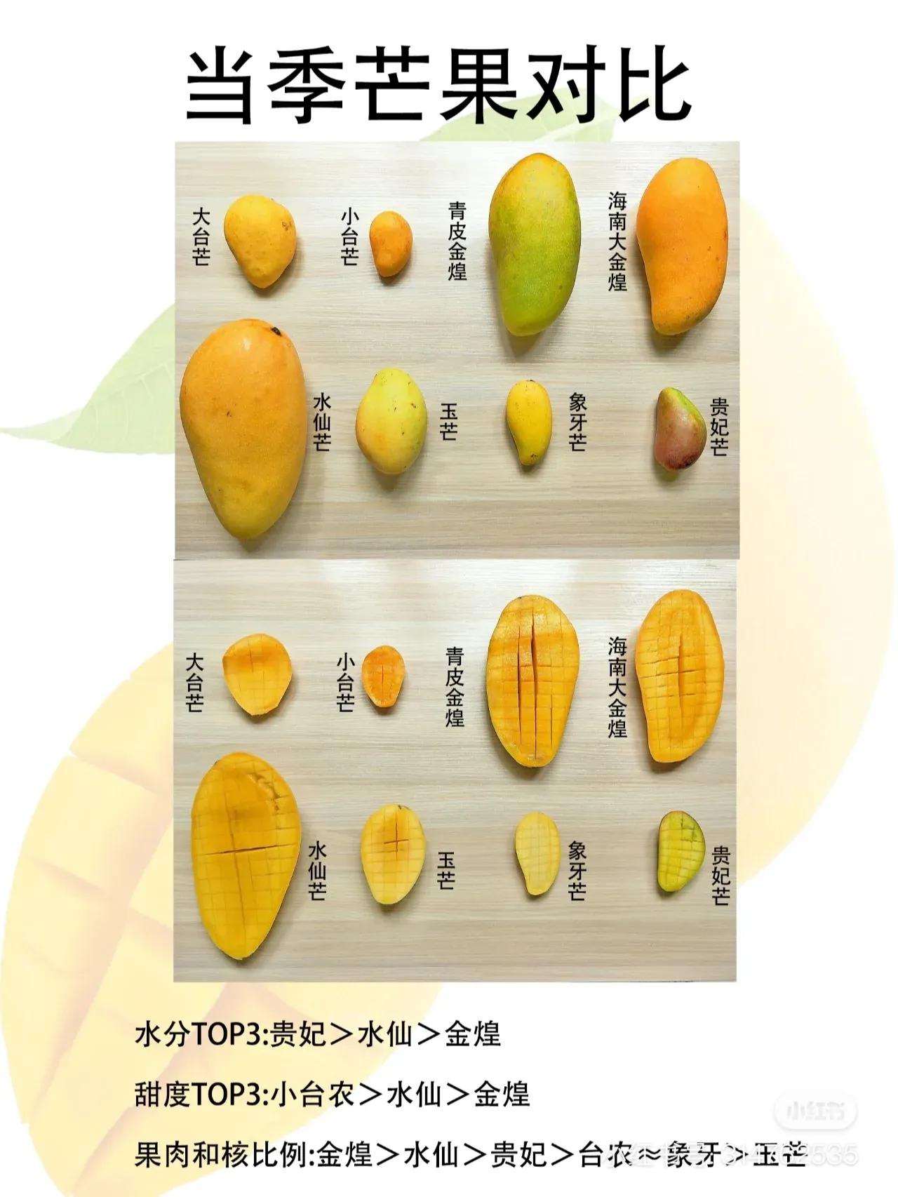 常见芒果的区别及口感,常见芒果的区别