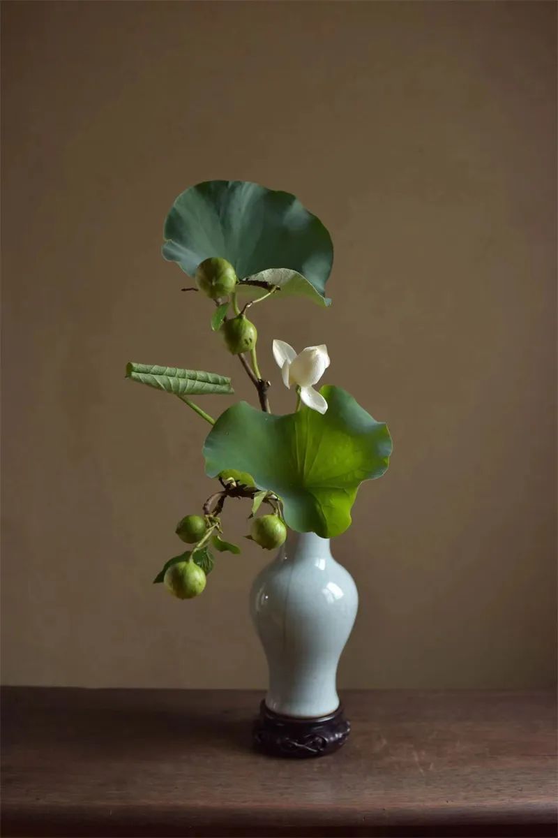 日本顶级禅意插花荷花,日式荷花插花