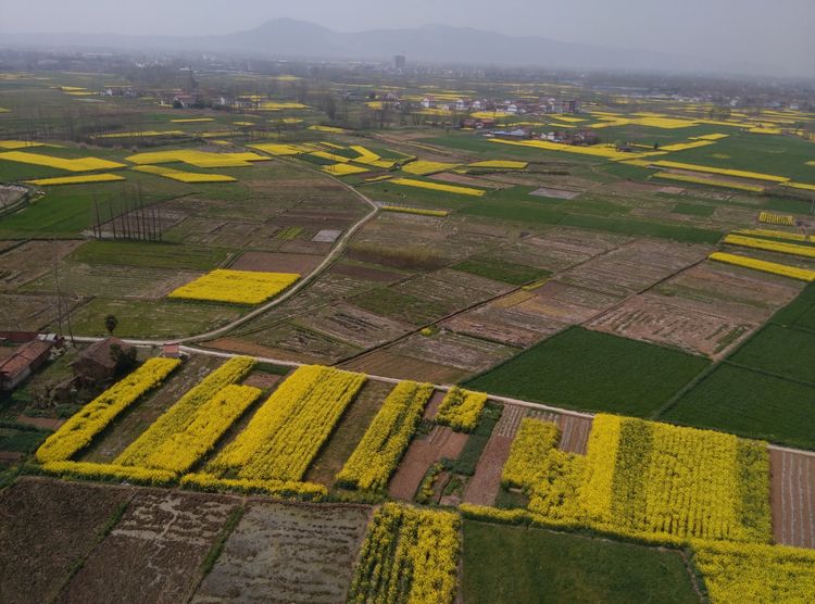 汉中最大三线厂汉江工具厂,汉中城固三线故事