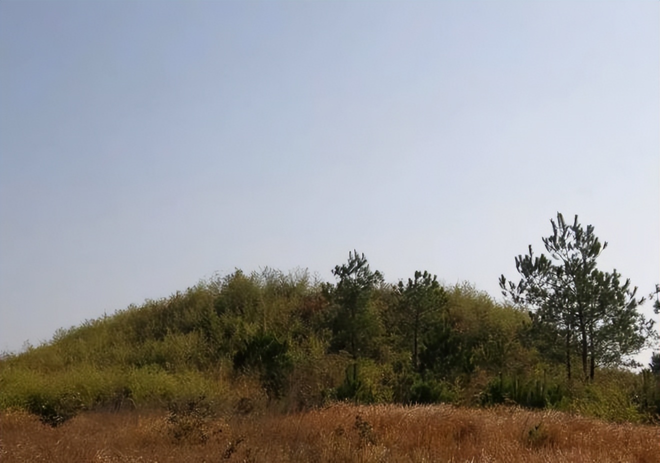 贵州村民盖新房挖出古墓,江西千年古墓被挖十几次