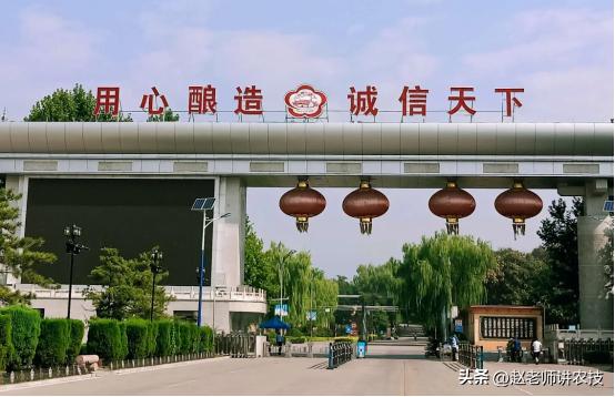 黄盖玻汾和出口汾哪个好喝,玻汾黄盖和红盖价格