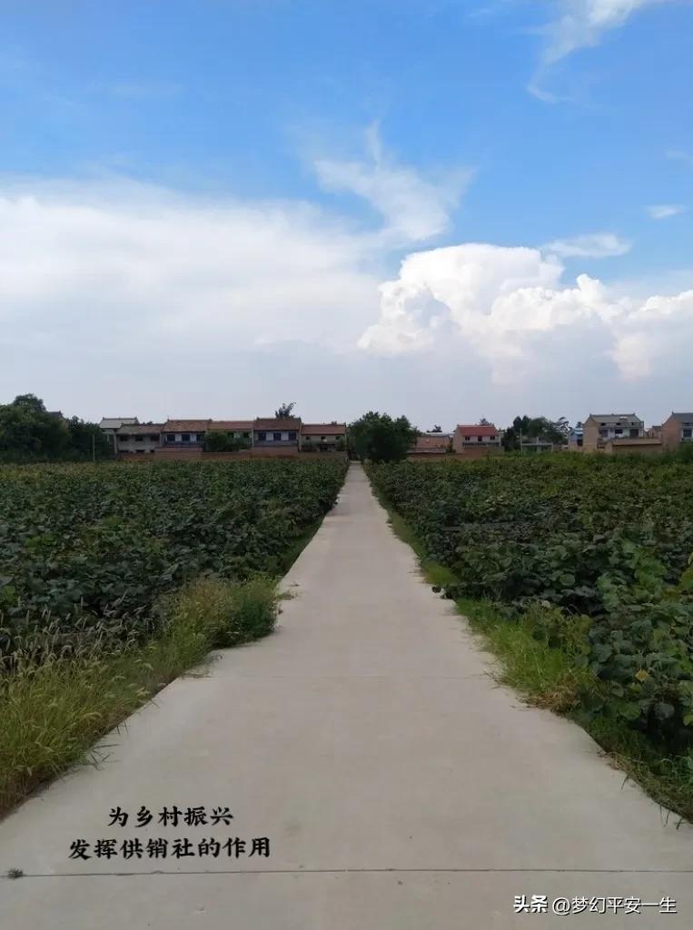 我经历的供销社变迁,我在七零供销社上班