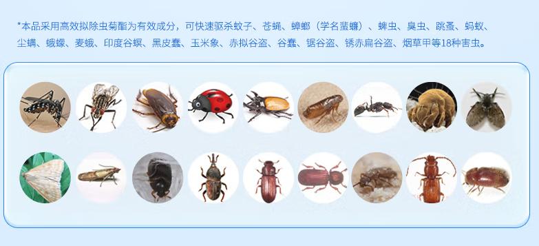 如何防止蚊虫进房间的方法,室内总有蚊子或者虫子怎么办