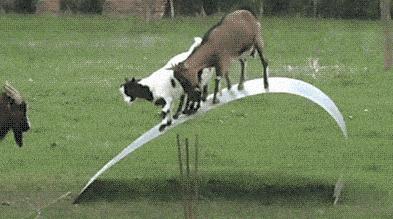 年纪轻轻就需要挂尿袋出门，看着有点可怜: