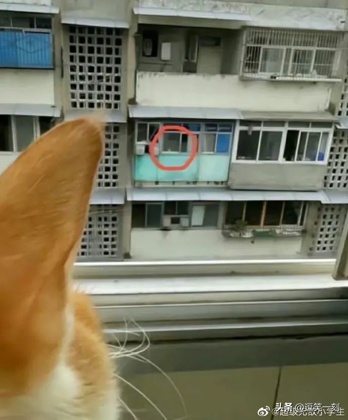 神仙男友的奇葩操作,男友的奇葩脑回路评论区笑不活了