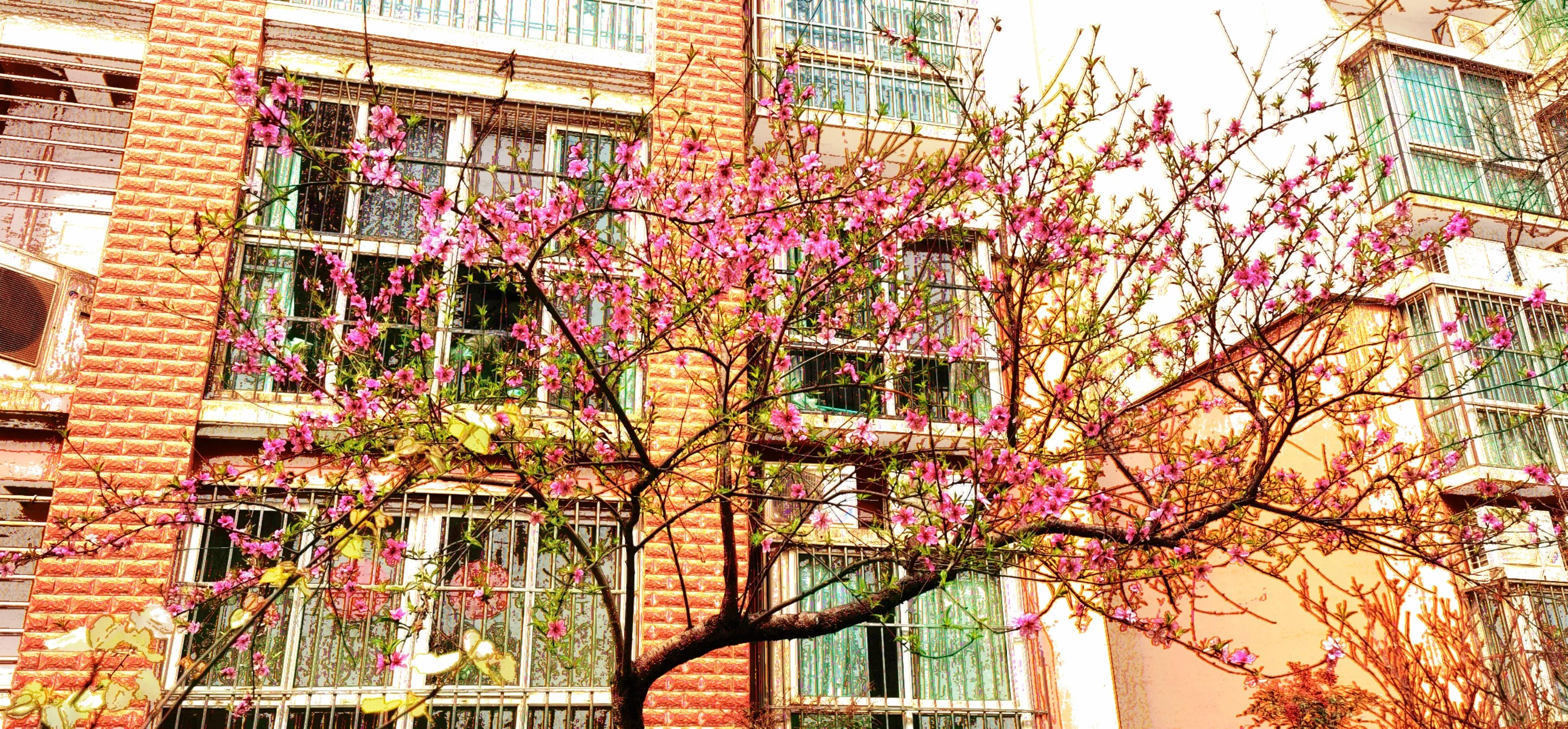 春天散文诗歌朗诵,春天散文诗歌大全100首